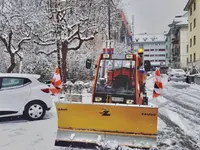 Tschan Gartenbau & Gartenunterhalt GmbH