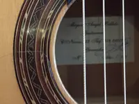 Guitarrista