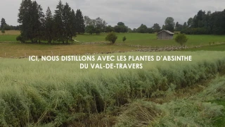 Artemisia Distillerie SA, Absinthe du Val-de-Travers