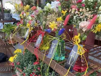 Blumen Candinas / Fluras Candinas