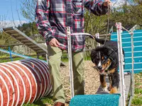 Hundeschule Guggisberg
