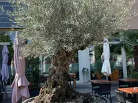Buissonin Giardini