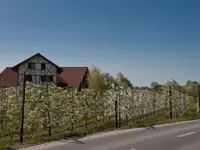 Schnaps Chäller Lieli