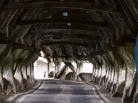 bräker-coaching bern gmbh