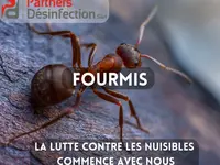 Partners Desinfection | Votre spécialiste en Nuisibles