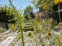 garten•kultur