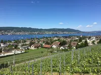 Weingut Diederik - Klicken Sie, um das Bild 1 in einer Lightbox vergrössert darzustellen