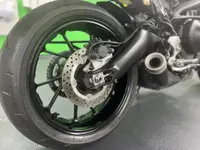 Swiss Green Mamba