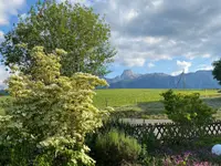 Kummer Gartenbau - Pflanzenoase