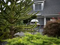 Bruno Preite Gartengestaltung und Gartenpflege - Ihr Gartenbauer im Limmattal, im Aargau & Zürich.