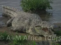 A + M Africa Tours GmbH