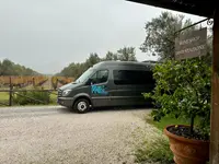 Mattei Viaggi Sagl