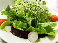 Leu Event Catering GmbH
