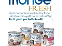INTERFOOD di Giampietro Ceppi