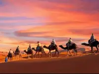 Viaggiare SA