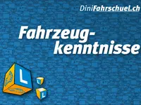 DiniFahrschuel.ch GmbH