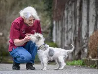 Tierklinik Rossweid - Klicken Sie, um das Bild 9 in einer Lightbox vergrössert darzustellen