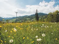 Elektrizitätswerk Obwalden