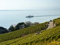 Caveau Ponnaz & Fils - Klicken Sie, um das Bild 2 in einer Lightbox vergrössert darzustellen