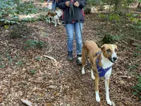 4happypets.ch, Inhaberin Schön