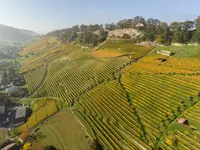 Weingut am Steinig Tisch