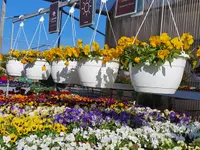 Luzerner Garten AG