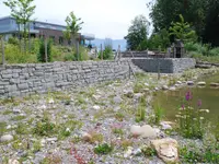 Naturag Gartenbau AG - Klicken Sie, um das Bild 6 in einer Lightbox vergrössert darzustellen