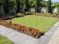 Brühlmann Liegenschaftenbetreuungen GmbH