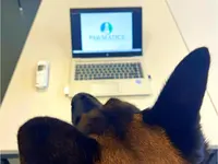 Hundephysiotherapie - PAWMATICS
