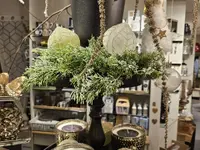 Boutique Donodare
