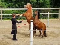 L.deRham Equitation