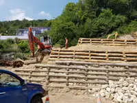 Galli Manuel