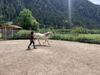 SUN RANCH Organisation - Klicken Sie, um das Bild 6 in einer Lightbox vergrössert darzustellen