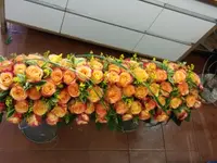 Fiori Mela Sagl