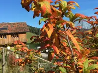 Kälin & Helbling AG