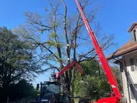Passion Forêt SA