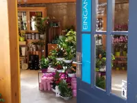 Blumen Berger