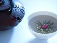 Praxis für Akupunktur, TCM, Phytotherapie, Kräutermedizin, Tibetische Medizin