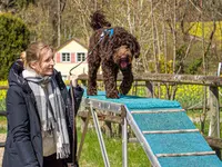 Hundeschule Guggisberg - Klicken Sie, um das Bild 4 in einer Lightbox vergrössert darzustellen