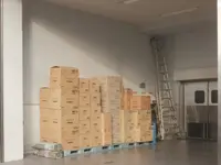 ALLO-DEMENAGEMENTS Sàrl