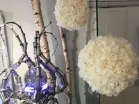 ColeDesign Colette Beer