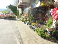 Hospenthal - Kägi AG