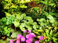 garten•kultur