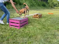 4happypets.ch, Inhaberin Schön