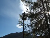 Ellès Jardins Sàrl