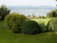 Bont Gartenbau und Gartenpflege AG