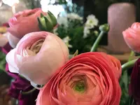 Blumen Bahnhof Carole Koch