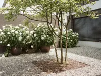 Popp Gartenbau AG