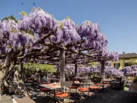 Ristorante La Sosta