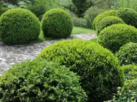 M&M Gartenbau AG
